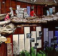West Coast Visitor Information and Booking Centre - Accommodation Tasmania