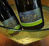 Velo Wines - Accommodation Tasmania