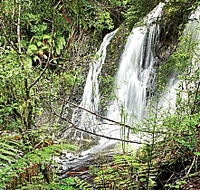 Hogarth Falls - Accommodation Tasmania