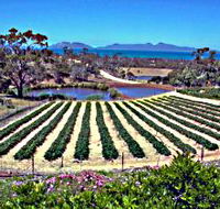 Kate's Berry Farm - Accommodation Tasmania