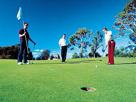 Scottsdale Golf Club - Accommodation Tasmania 0