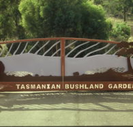 Tasmanian Bushland Garden - Accommodation Tasmania
