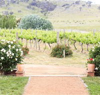 Brindabella Hills Winery - Accommodation Tasmania