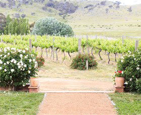 Brindabella Hills Winery - Accommodation Tasmania 0
