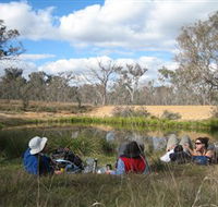 Canberra Nature Park - Accommodation Tasmania
