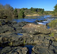 Pine Island to Point Hut Reserve - Accommodation Tasmania