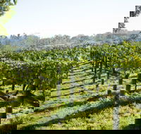 Surveyor's Hill Vineyards - Accommodation Tasmania