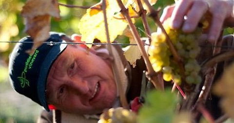 Puddleduck Vineyard - Accommodation Tasmania 0