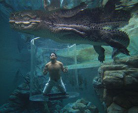 Crocosaurus Cove - Accommodation Tasmania 0