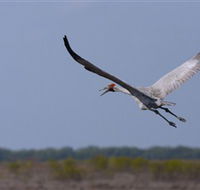 Gayngaru Wetlands Interpretive Walk - Accommodation Tasmania