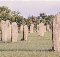 Magnetic Termite Mounds - Accommodation Tasmania