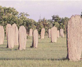 Magnetic Termite Mounds - Accommodation Tasmania 0