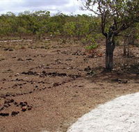 Wurrwurrwuy Garanhan Macassan Beach Interpretive Walk - Accommodation Tasmania