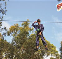 Adventure Parc at Currumbin Wildlife Sanctuary - Accommodation Tasmania