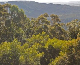  Accommodation Tasmania