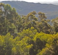 Conondale National Park - Accommodation Tasmania