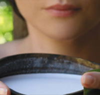 Ikatan Day Spa - Accommodation Tasmania