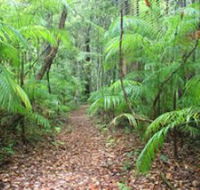 Delicia Road Conservation Park - Accommodation Tasmania