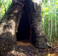 Tewantin National Park - Accommodation Tasmania