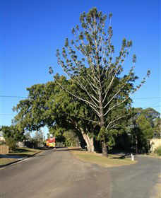  Accommodation Tasmania