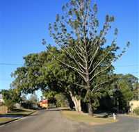 Anzac Avenue Memorial Trees Beerburrum - Accommodation Tasmania