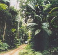 Conondale Great Walk - Accommodation Tasmania