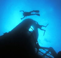 Ex HMAS Brisbane Dive Site - Accommodation Tasmania
