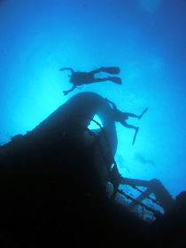 Ex HMAS Brisbane Dive Site - Accommodation Tasmania 0