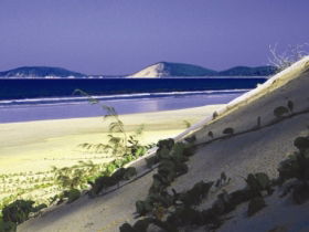 Cooloola, Great Sandy National Park - Accommodation Tasmania 0