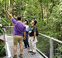 Daintree Discovery Centre - Accommodation Tasmania