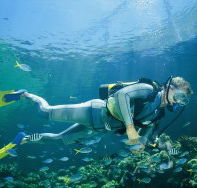 Tijou Reef - Accommodation Tasmania