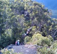 Mia Mia State Forest - Accommodation Tasmania