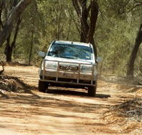 Ward River 4x4 Stock Route Trail - Accommodation Tasmania