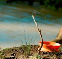 Charleville - Mangalore Warrego River Fishing Spot - Accommodation Tasmania