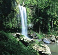 Curtis Falls Joalah Section - Accommodation Tasmania