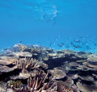 Australian Institute of Marine Science - Accommodation Tasmania