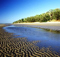 Burrum Coast National Park - Accommodation Tasmania