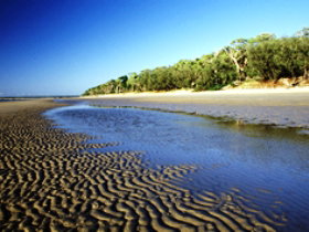 Burrum Coast National Park - Accommodation Tasmania 0