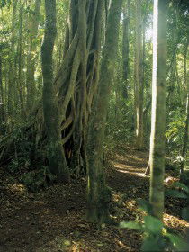  Accommodation Tasmania