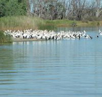 Lake Ross - Accommodation Tasmania