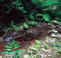 Wompoo Walk - Accommodation Tasmania