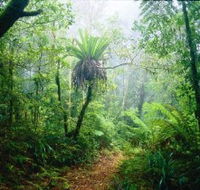Lamington National Park Green Mountains Section - Accommodation Tasmania