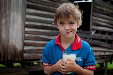 Maleny Dairies - Accommodation Tasmania 2