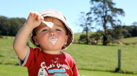 Maleny Dairies - Accommodation Tasmania 5