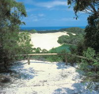 Lake Wabby Track - Accommodation Tasmania