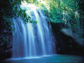 Millaa Millaa QLD Accommodation Tasmania