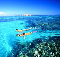 Great Barrier Reef Islands - Accommodation Tasmania