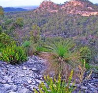 Isla Gorge National Park - Accommodation Tasmania