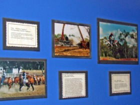 Town Hall Photographic Display - Accommodation Tasmania 0