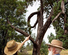 Charleville - Outback Native Timber Walk - Accommodation Tasmania 0